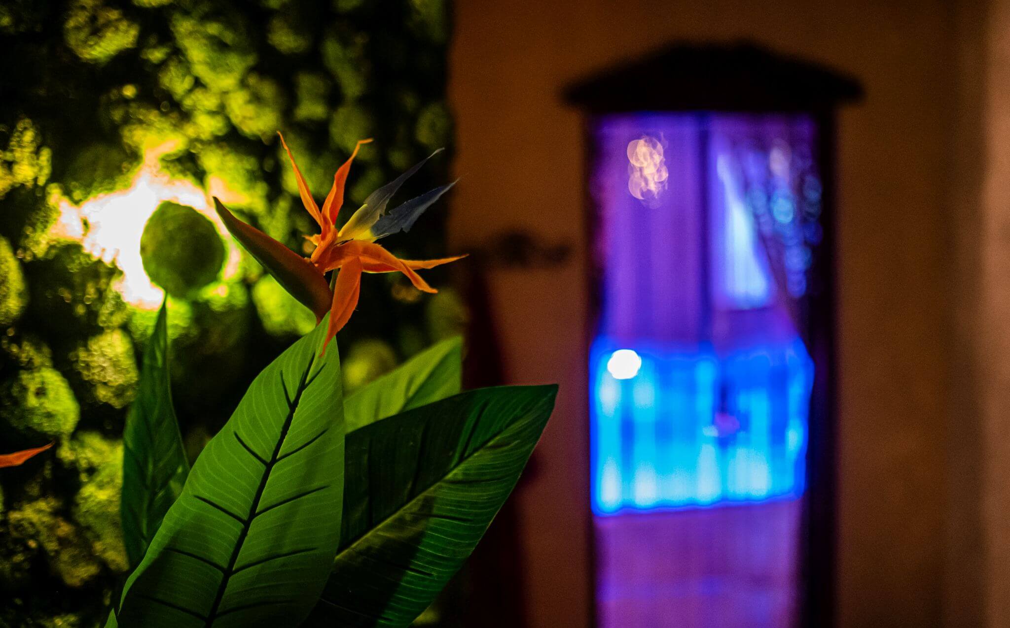 Elamus Spa. Foto: Karen Härms